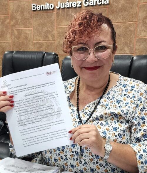 SOLICITA DIP. MAYTHÉ MÉNDEZ INFORME SOBRE AVANCES EN LA IMPLEMENTACIÓN DE REFORMA A LA DEFENSORÍA PÚBLICA