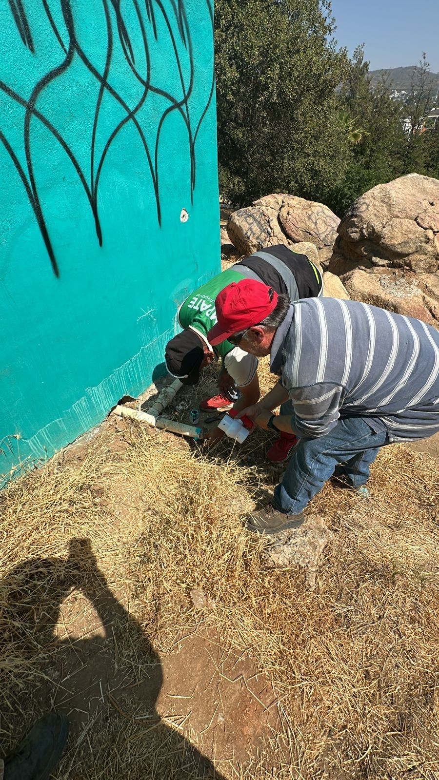REACTIVA GOBIERNO DE TECATE LÍNEA MORADA EN PARQUE LOS ENCINOS
