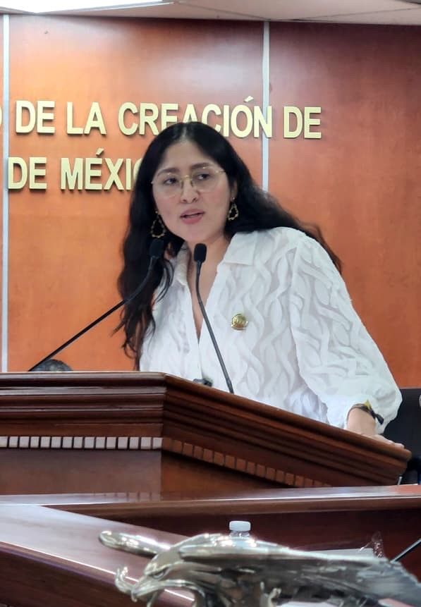 DIPUTADA MICHEL SÁNCHEZ ALLENDE PROPONE FORTALECER LA COMPETITIVIDAD E IMPULSAR EL CONSUMO LOCAL