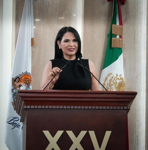 EXHORTAN AL GOBIERNO ESTATAL A ADELANTAR SUBSIDIO ELÉCTRICO EN BAJA CALIFORNIA ANTE ALTAS TEMPERATURAS