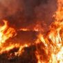 PARTICIPA SADERBC EN INCENDIOS FORESTALES EN TECATE
