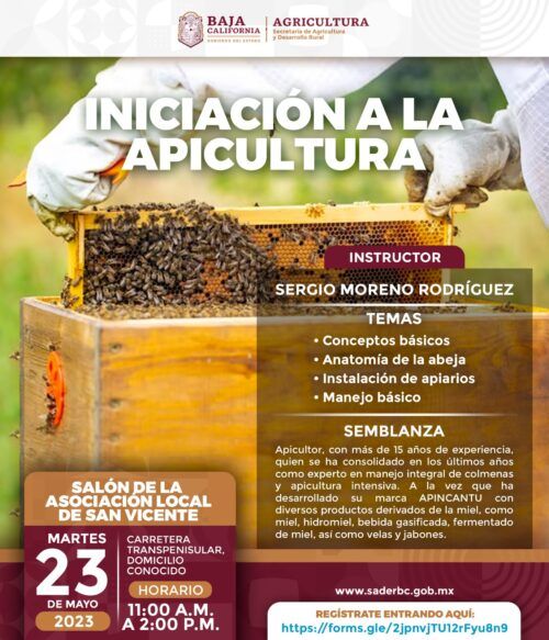 OFRECE SADERBC CURSO PARA INICIAR EN LA APICULTURA
