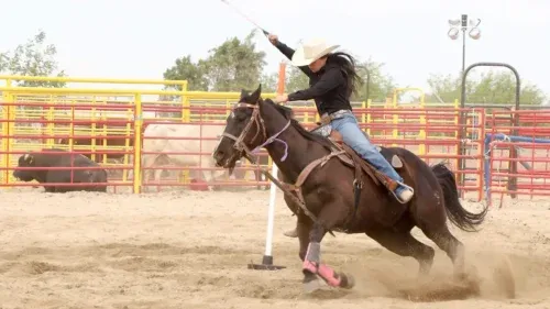 CELEBRAN DECLARATORIA DEL RODEO, VAQUERÍA Y VAQUERIDAD COMO PATRIMONIO CULTURAL DE BC