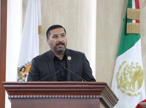 XXV LEGISLATURA APRUEBA REFORMA QUE ESTABLECE LA REFORESTACIÓN OBLIGATORIA CON ESPECIES ENDÉMICA