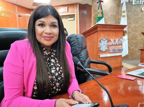 PROPONEN FACULTAR AL CONSEJO CIUDADANO DE SEGURIDAD PÚBLICA PARA PRESENTAR INICIATIVAS DE LEY