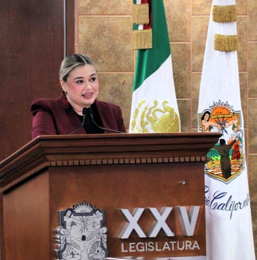 EXHORTA DIPUTADA MICHELLE TEJEDA A GARANTIZAR ATENCIÓN PREFERENTE A PERSONAS CUIDADORAS