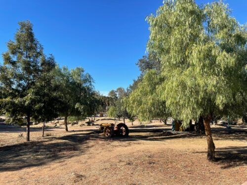 CONVOCAN A BRIGADA DE LIMPIEZA MASIVA EN PARQUE TECATEROCA