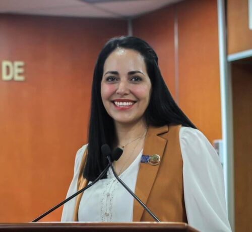 ANTE APAGONES EN EL VERANO, ES TIEMPO DE LEGISLAR CON PREVISIÓN Y VISIÓN: DIP. MAYOLA GAONA