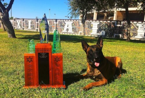 RECONOCE SSCBC A ‘BETO’, CONDECORADO AGENTE K9 FALLECIDO