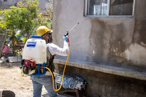 CONCIENTIZA SECTOR SALUD A LA CIUDADANÍA SOBRE LA IMPORTANCIA DE PREVENIR ENFERMEDAD DE CHAGAS