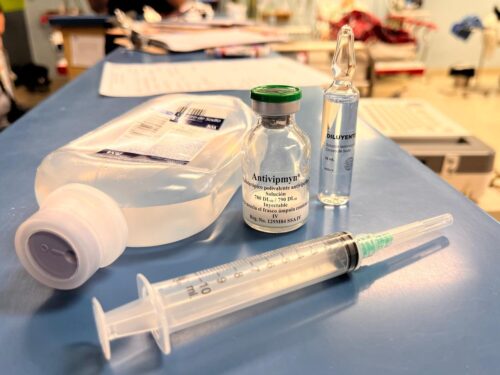 EMITEN RECOMENDACIONES PARA PREVENIR MORDEDURAS DE SERPIENTES