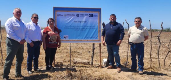 IMPULSA SADERBC TRABAJO DE EVALUACIÓN PARA VARIABLES FORRAJERAS EN ZONA COSTA