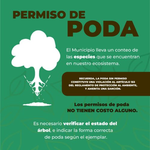 EVITA SANCIONES, TRAMITA TU PERMISO DE PODA DE ÁRBOLES