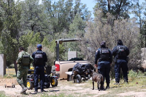 ASEGURAN VEHÍCULOS, CARTUCHOS Y UNA VIVIENDA TRAS OPERATIVO EN TECATE