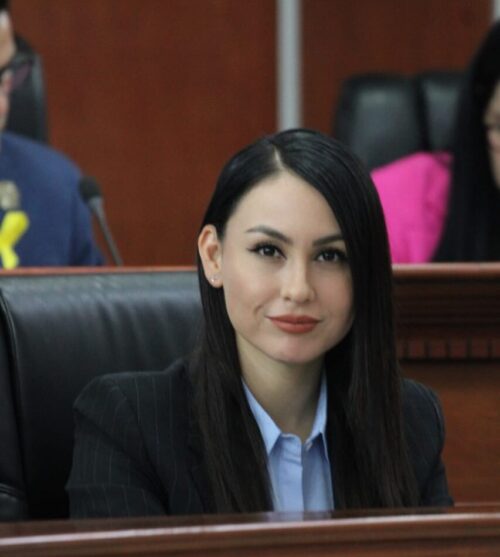 APRUEBAN EN COMISIÓN INICIATIVA DE CREACIÓN DE POLICÍA CIBERNÉTICA IMPULSADA POR LA DIP. YOHANA GILVAJA
