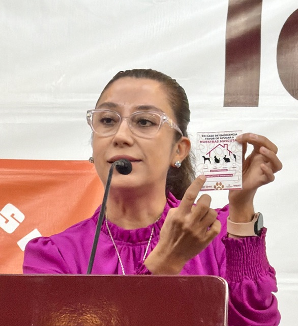 REPLANTEAN OBLIGATORIEDAD DEL REGISTRO DE MUNICIPAL DE MASCOTAS