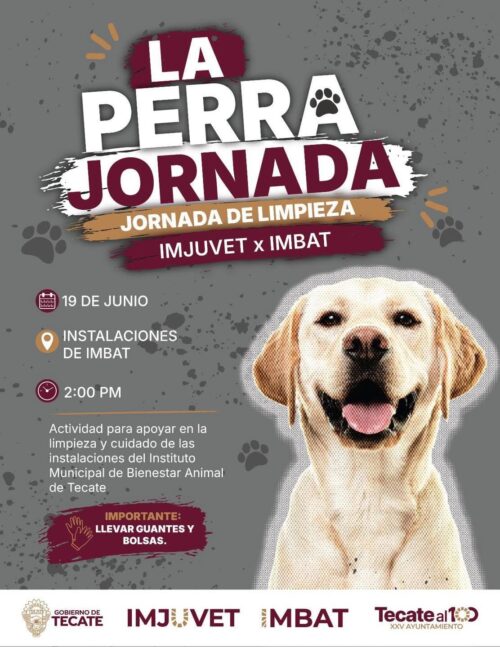 INVITAN IMJUVET E IMBAT A PARTICIPAR EN JORNADA DE LIMPIEZA EN FAVOR DEL BIENESTAR ANIMAL