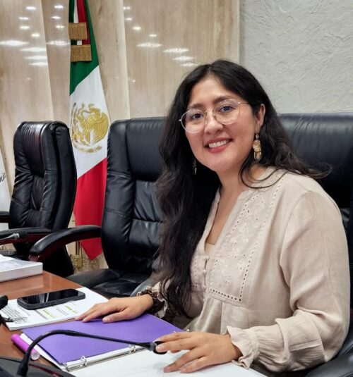 PROPONEN “LEY GRECIA” PARA TIPIFICAR LA TENTATIVA DE FEMINICIDIO EN EL CÓDIGO PENAL ESTATAL