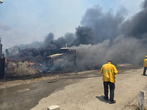 INCENDIO FORESTAL EN TECATE ALCANZA 90 HECTÁREAS EFECTADAS; REPORTAN 70% DE CONTROL