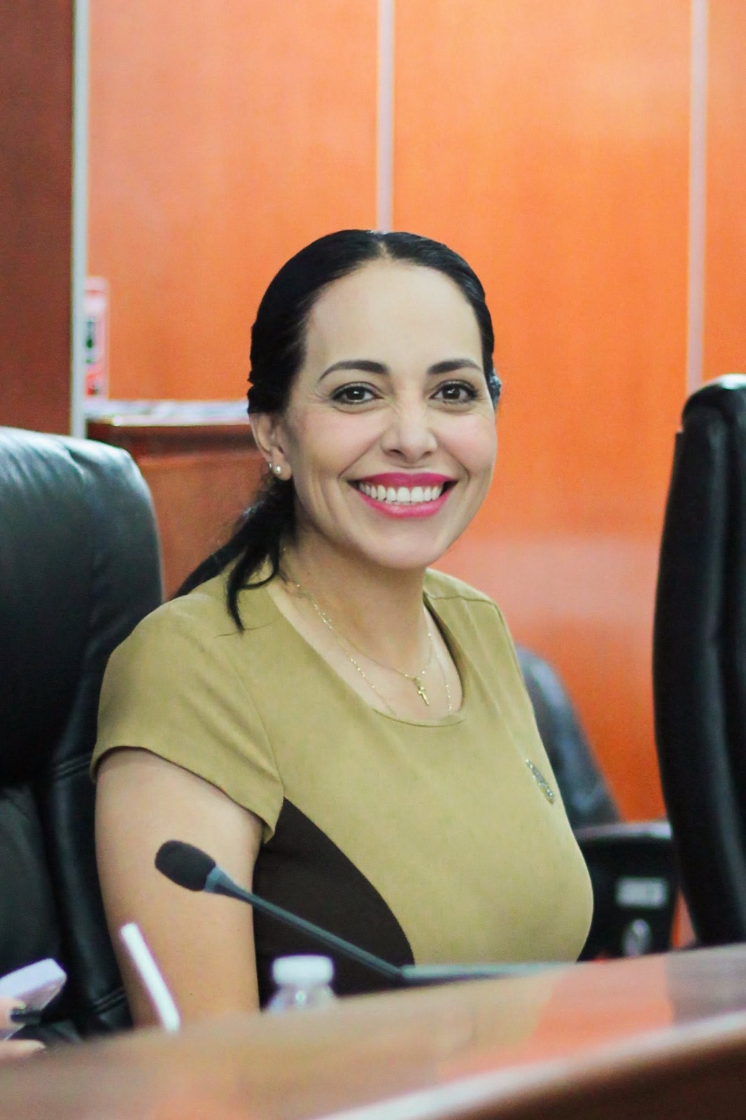 APRUEBA CONGRESO DEL ESTADO REFORMA EN MATERIA DE DESPOJO DE LA DIPUTADA MAYOLA GAONA