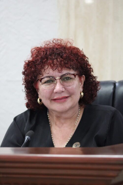 DIP. MAYTHÉ MÉNDEZ PROPONE SEGURO DE PROTECCIÓN ANTE EVENTUALIDADES EN CENTROS INFANTILES