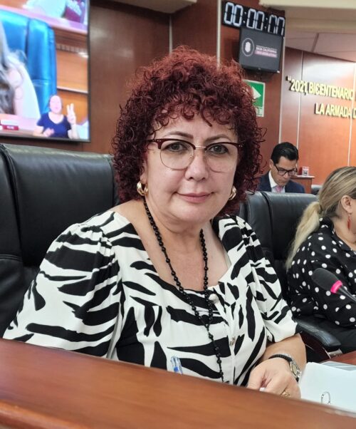 DIP. MAYTHÉ MENDEZ SOLICITA MEDIDAS URGENTES DE SEGURIDAD VIAL EN CURVA DEL KM 118 TIJUANA – MEXCIALI