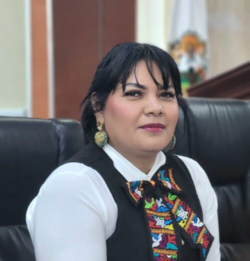 EXHORTAN A CFE A QUE ATIENDA EN BAHÍA DE LOS ÁNGELES LAS FALLAS E INTERRUPCIONES DEL SUMINISTRO ELÉCTRICO