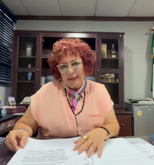 DIP. MAYTÉ MÉNDEZ PRESENA INICIATIVAS DERIVADAS DE PETICIONES CIUDADANAS