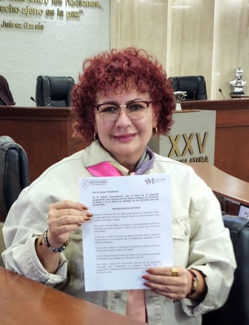 DIP. MAYTÉ MÉNDEZ PROPONE REVISIÓN Y ACTUALIZACIÓN DEL REGISTRO DE AGENTES INMOBILIARIOS DE BC