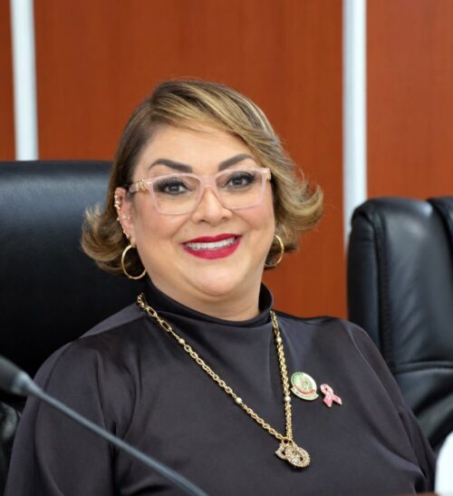 DIP. TERE RUIZ EXHORTA A SAN QUINTÍN A FORTALECER EL TURISMO CON ORGANIZACIÓN Y REGLAMENTO PROPIO