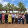 INICIA EN BAJA CALIFORNIA COSECHA DE DÁTIL 2026
