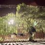 UN ÁRBOL COMO HOGAR: EL ROSTRO DE UNA REALIDAD QUE NO DEBEMOS IGNORAR