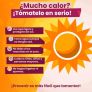 ALERTAN POR INCREMENTO DE TEMPERATURAS Y RIESGO DE INCENDIOS EN LA ENTIDAD