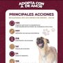 IMBAT FORTALECE EL BIENESTAR ANIMAL EN TECATE