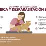 GOBIERNO DE TECATE ACERCA SERVICIOS GRATUITOS PARA EL BIENESTAR DE LAS MASCOTAS
