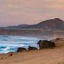 ATIENDE GOBIERNO DE ENSENADA AFECTACIÓN EN CAMINO VECINAL DE EJIDO ERÉNDIDA